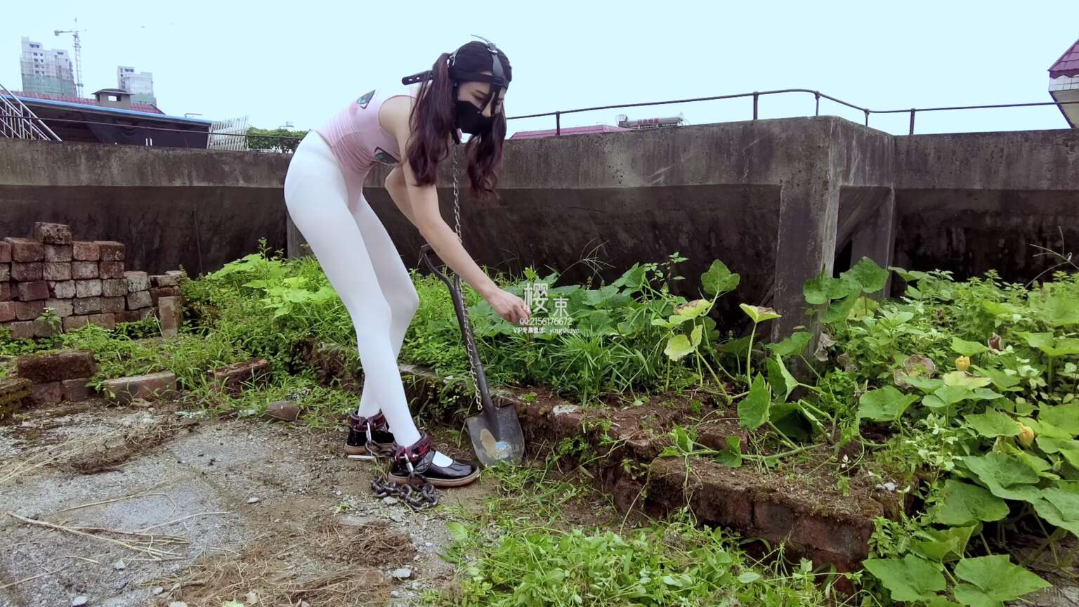 小驴原创，你是在田间除草吗？